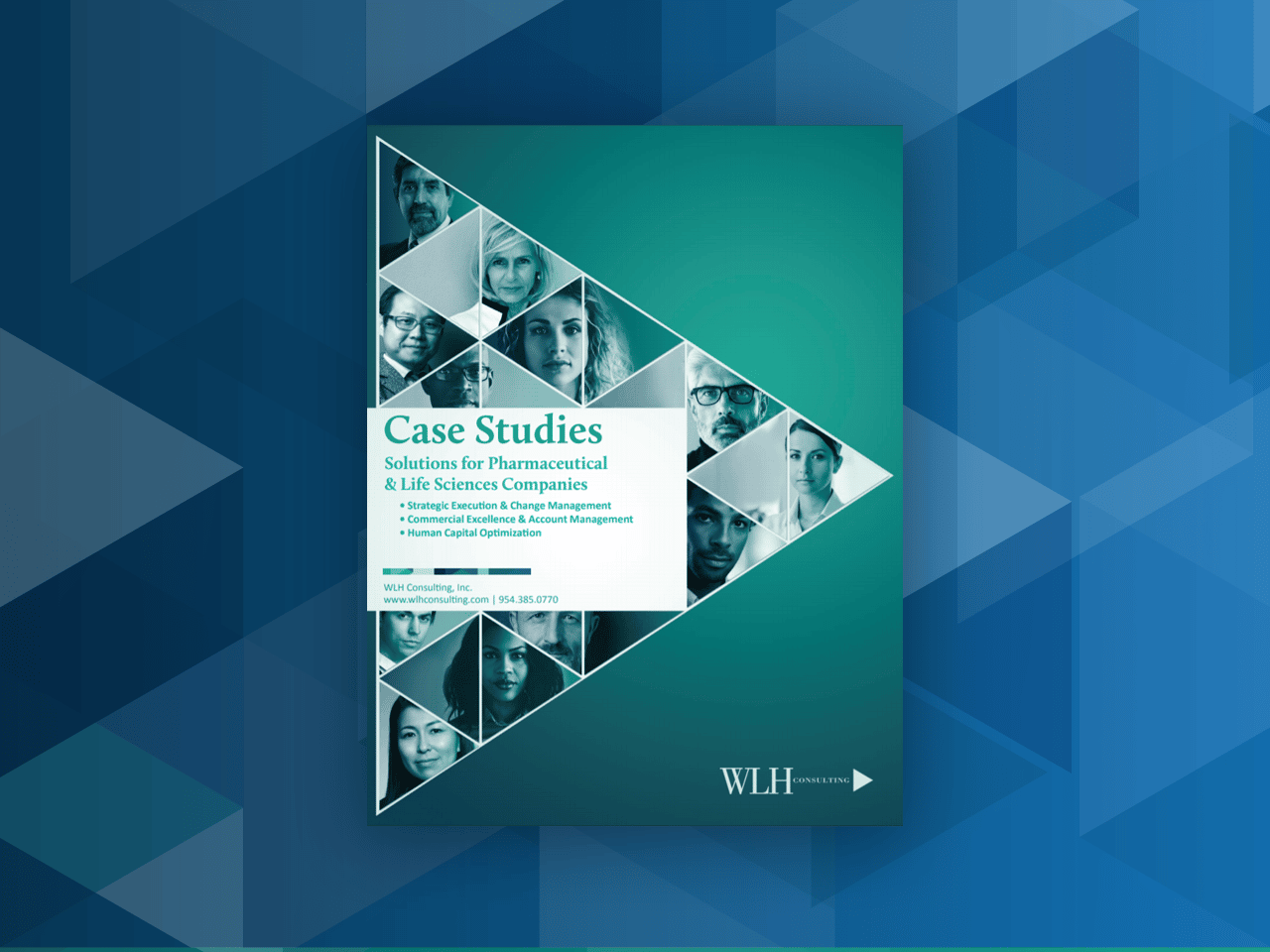 WLH Case Study Book WLH Consulting & Learning Solutions