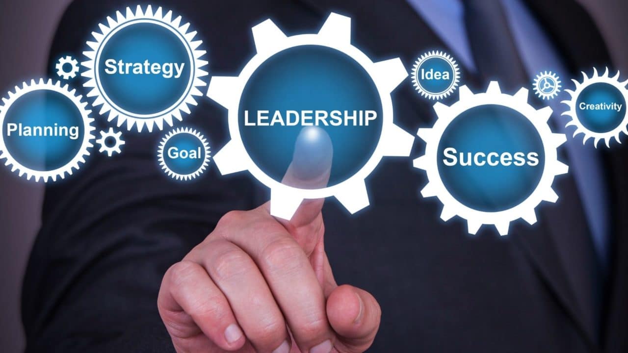 Effectively Executing Change and the Role of Transition Leadership